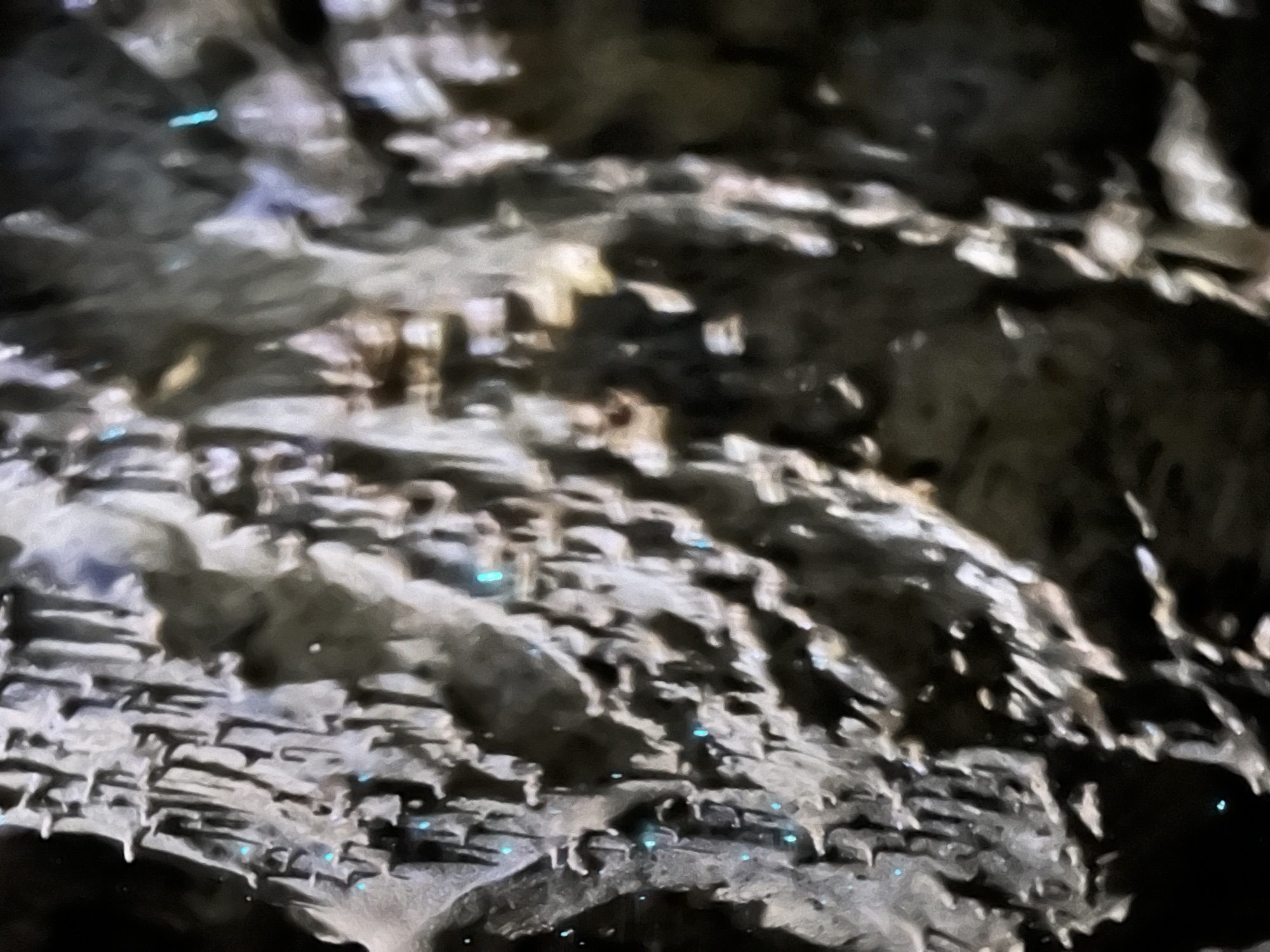 3 Mangawhai und Waipu