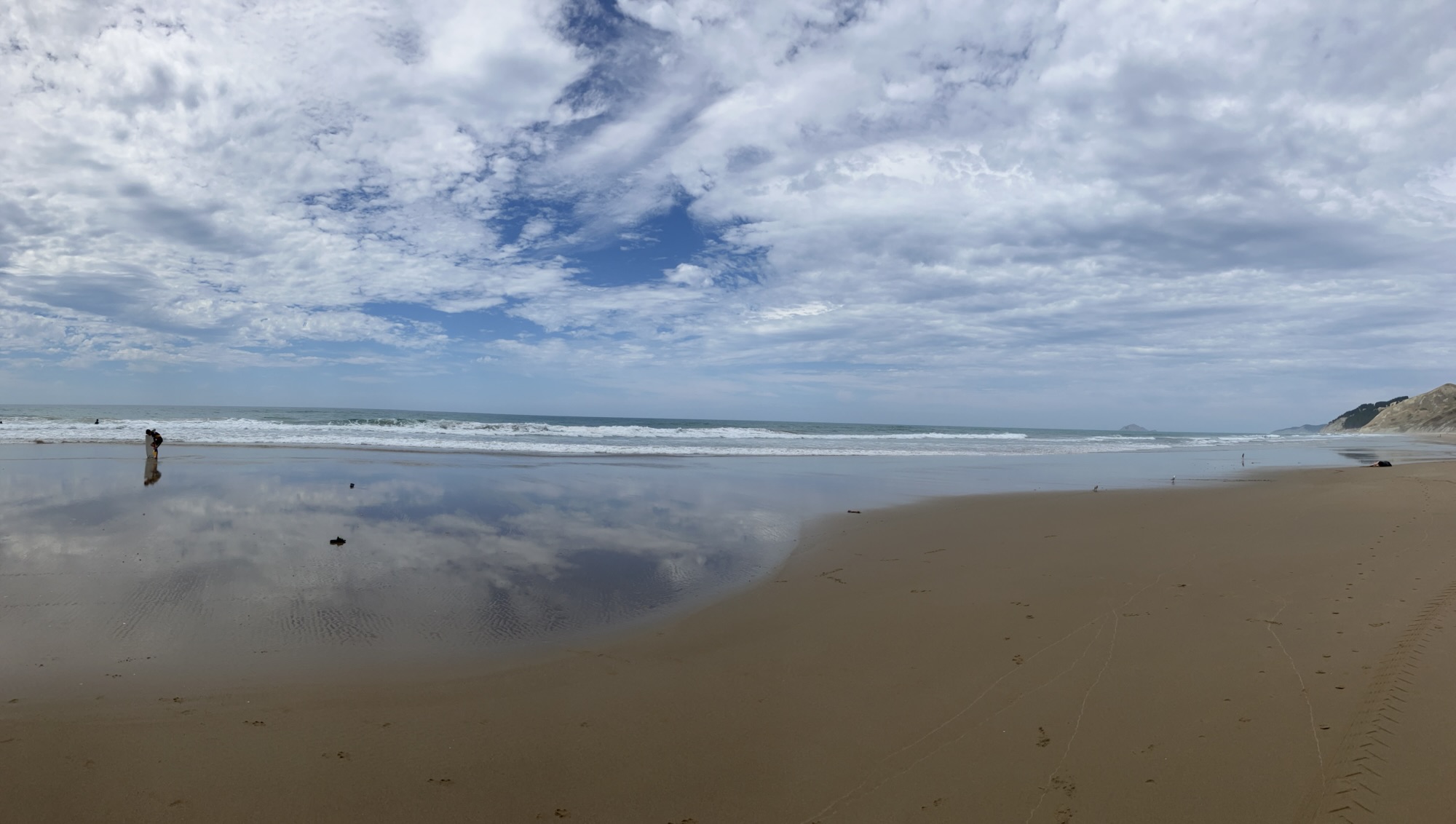 8 Napier & Waimarama