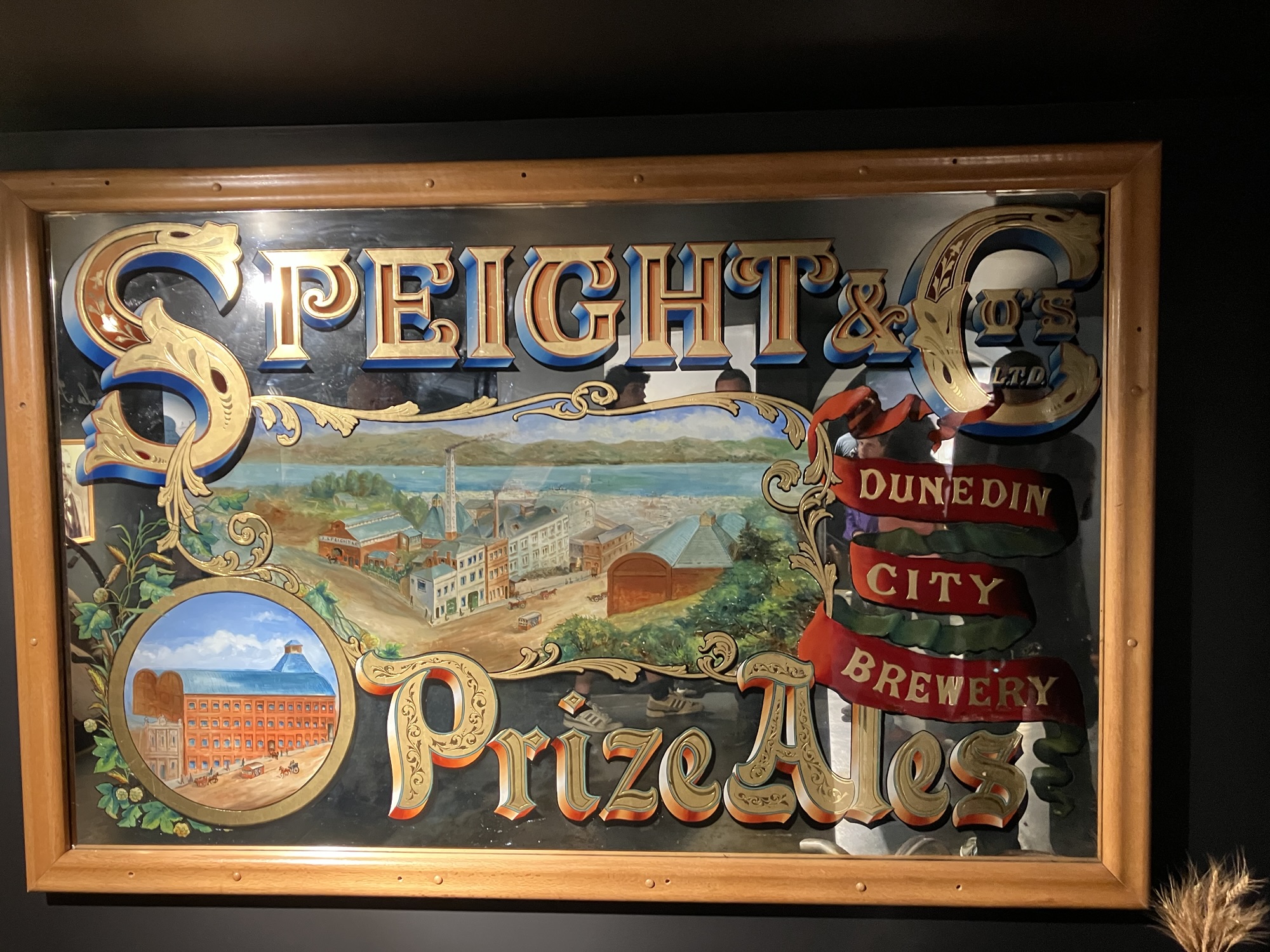 19 Dunedin (2) / Ashbourton