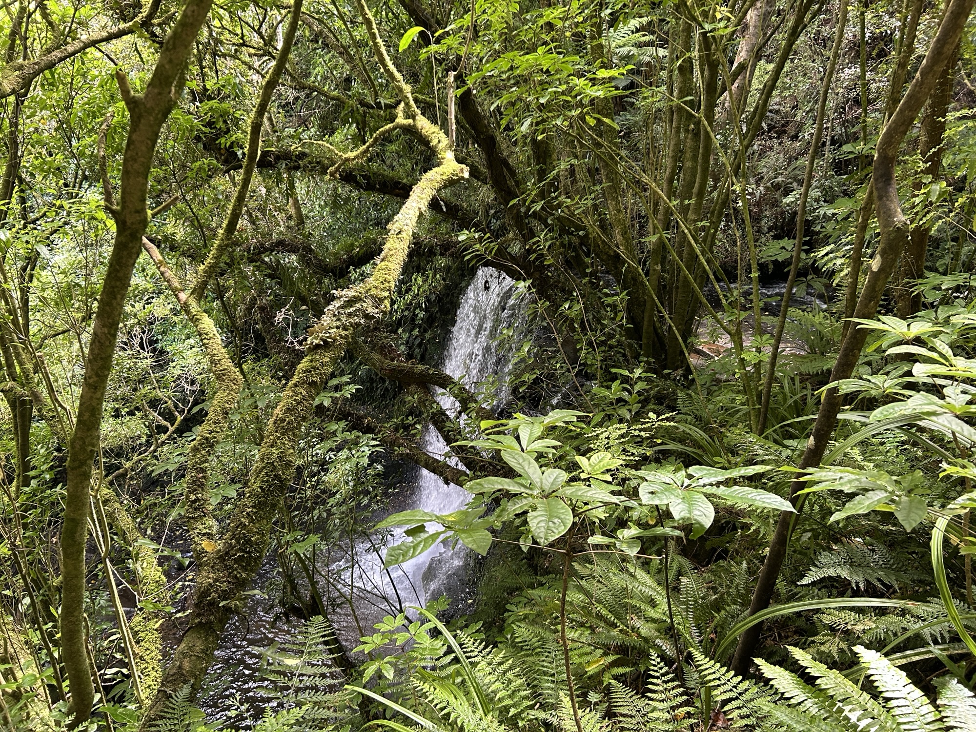 17 Balclutha / The Catlins