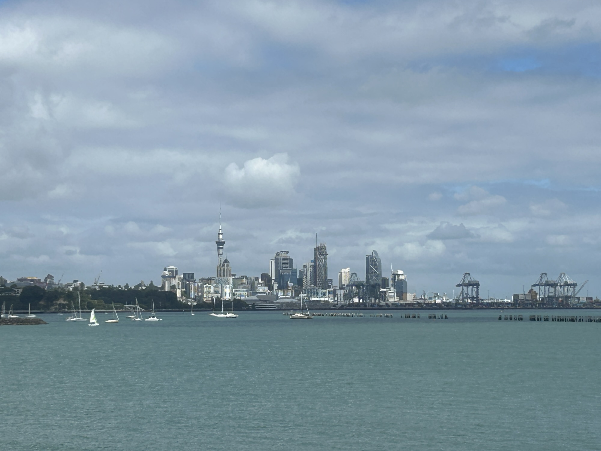 21 Auckland